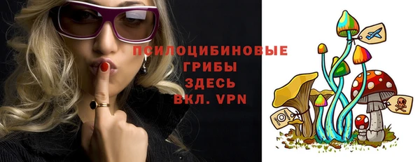 гашик Карпинск