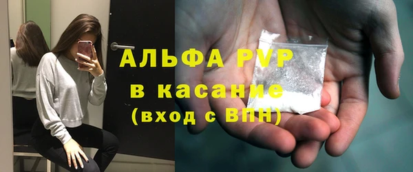 гашик Карпинск