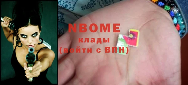 гашик Карпинск