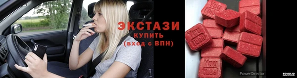 гашик Карпинск