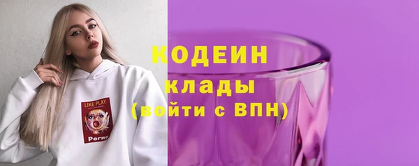 гашик Карпинск
