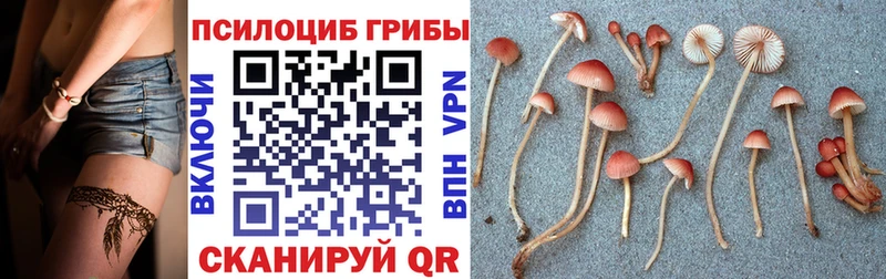 Купить где Берёзовский Галлюциногенные грибы ЛСД